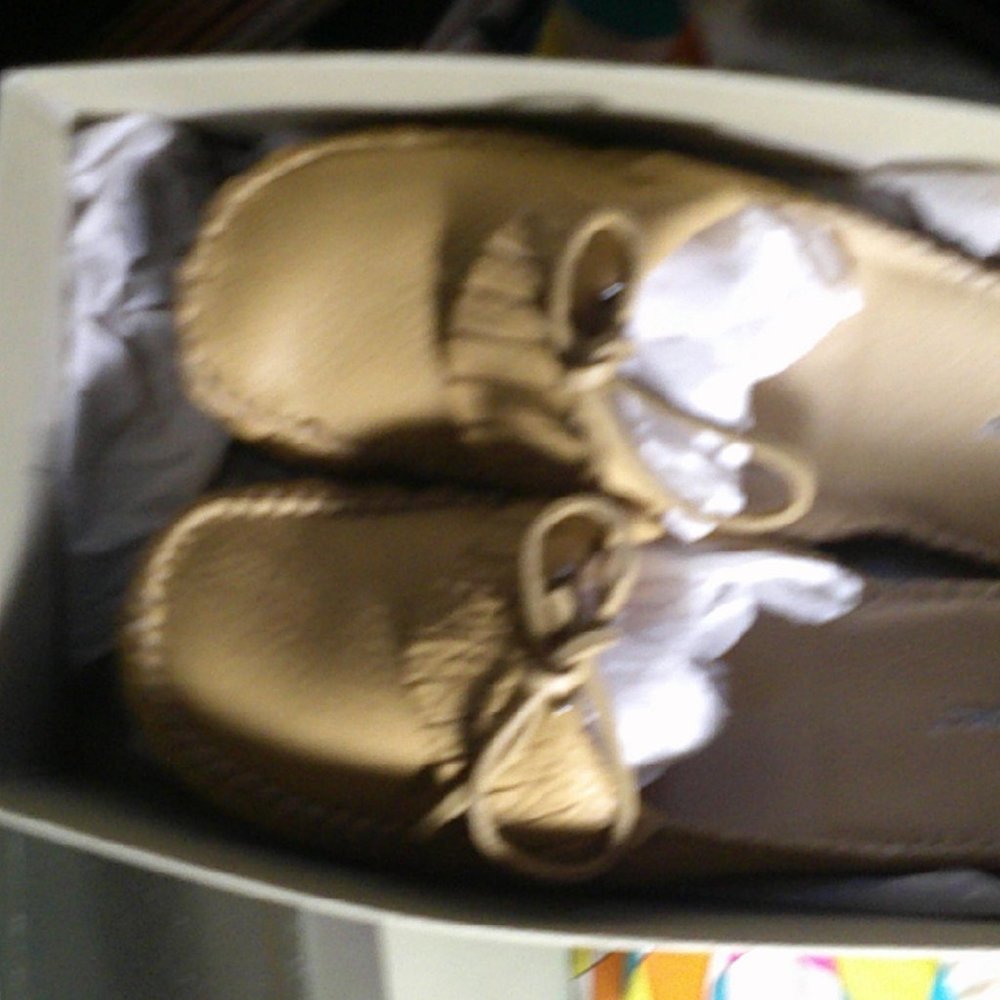 hush puppy slides
